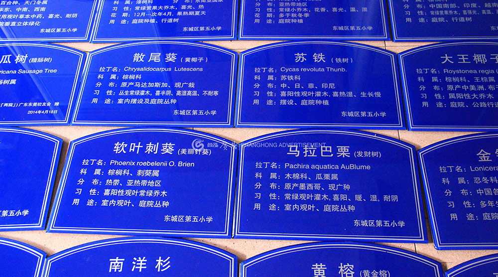 東莞東城第五小學(xué)苗圃牌